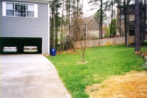 Front Yard